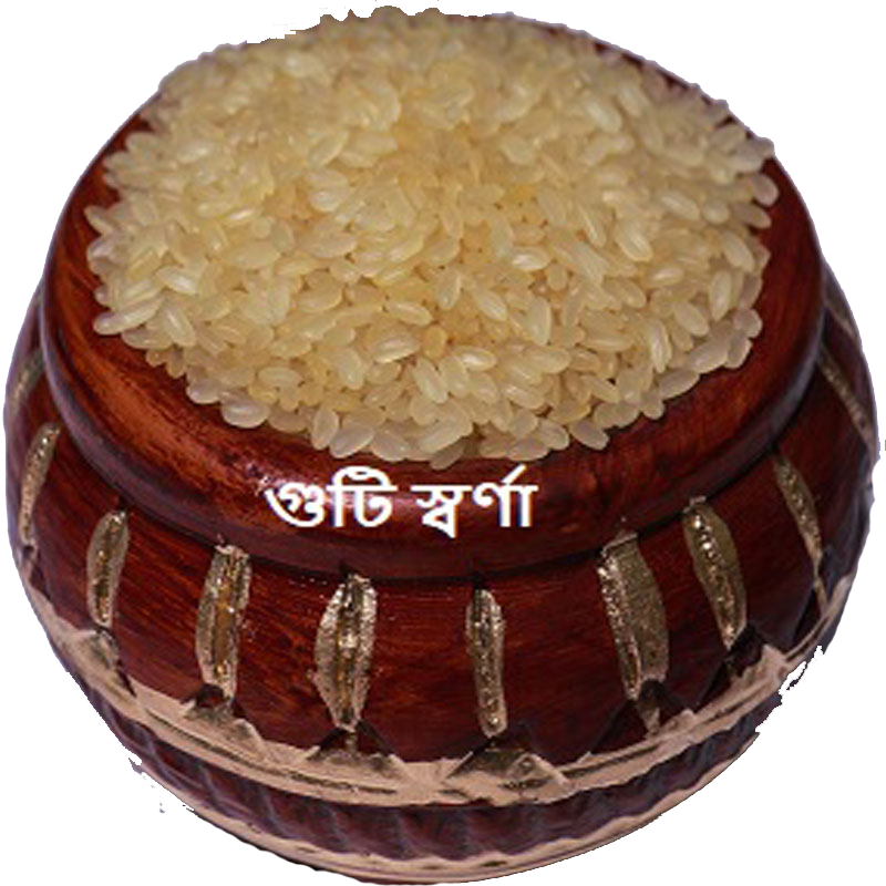 স্বর্ণা চাল -২৫ কেজি